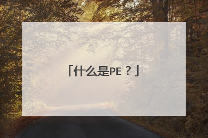 什么是PE？