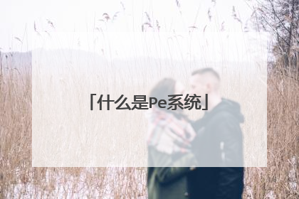什么是Pe系统