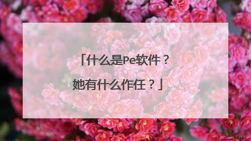 什么是Pe软件?她有什么作任?