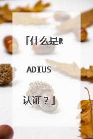 什么是RADIUS认证？