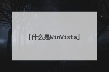 什么是WinVista