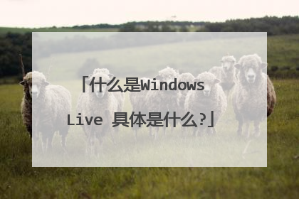 什么是Windows Live 具体是什么?