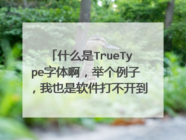 什么是TrueType字体啊,举个例子,我也是软件打不开到字体那就卡住