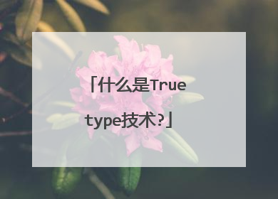 什么是Truetype技术?