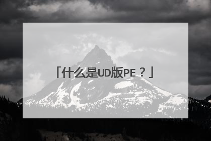 什么是UD版PE?