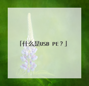 什么是USB PE?