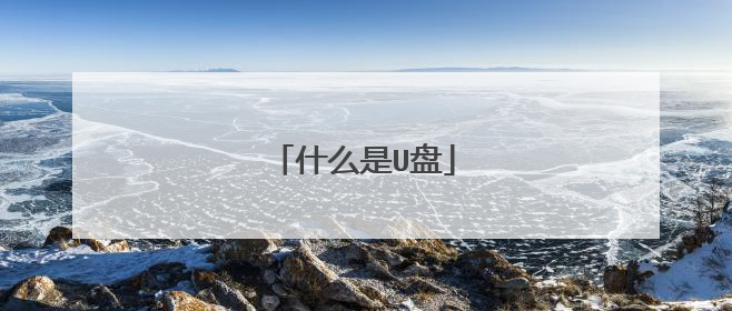 什么是U盘