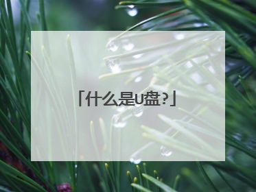 什么是U盘?