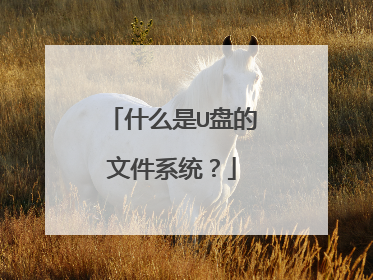 什么是U盘的文件系统?