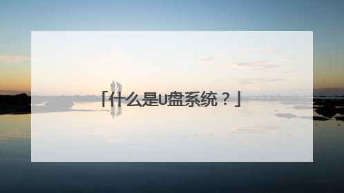 什么是U盘系统？