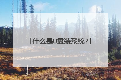 什么是U盘装系统?