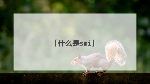什么是smi