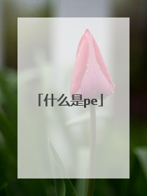 什么是pe