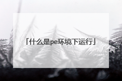 什么是pe环境下运行