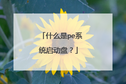 什么是pe系统启动盘？