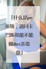 什么是pe系统,请问卡巴斯基能不能做dos杀毒盘