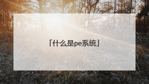 什么是pe系统