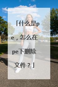 什么是pe,怎么在pe下删除文件?