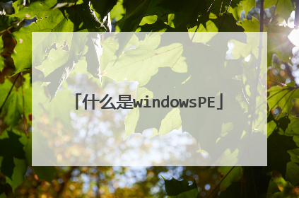 什么是windowsPE