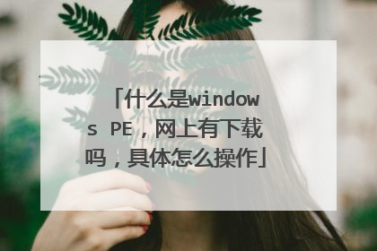 什么是windows PE，网上有下载吗，具体怎么操作