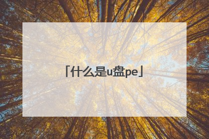 什么是u盘pe