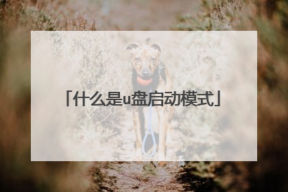 什么是u盘启动模式