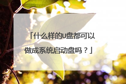 什么样的U盘都可以做成系统启动盘吗？