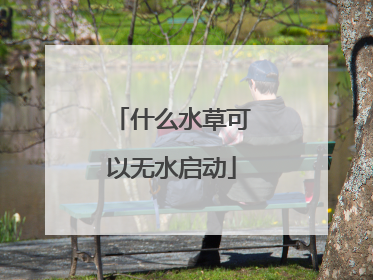 什么水草可以无水启动