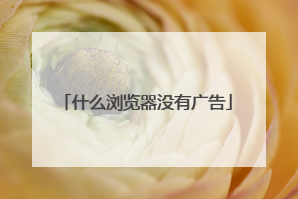 什么浏览器没有广告