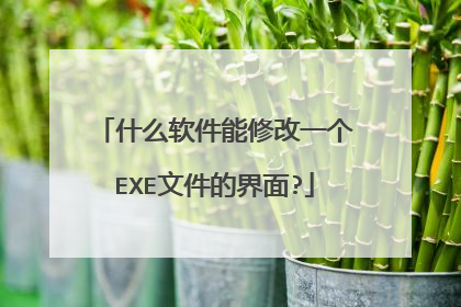 什么软件能修改一个EXE文件的界面?