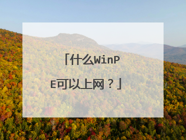 什么WinPE可以上网？
