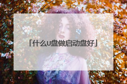 什么U盘做启动盘好