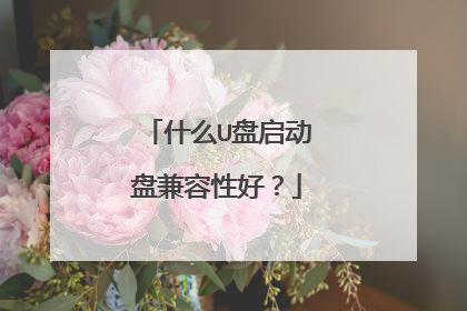 什么U盘启动盘兼容性好？