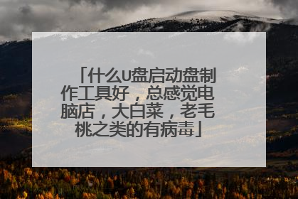 什么U盘启动盘制作工具好，总感觉电脑店，大白菜，老毛桃之类的有病毒