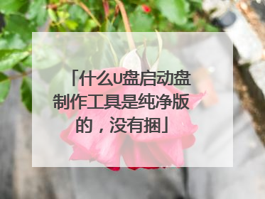 什么U盘启动盘制作工具是纯净版的,没有捆