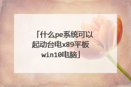 什么pe系统可以起动台电x89平板win10电脑