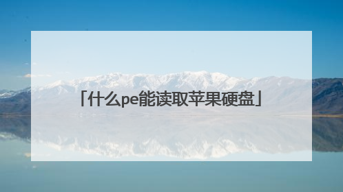 什么pe能读取苹果硬盘