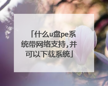 什么u盘pe系统带网络支持,并可以下载系统