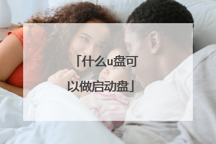 什么u盘可以做启动盘