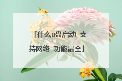 什么u盘启动 支持网络 功能最全