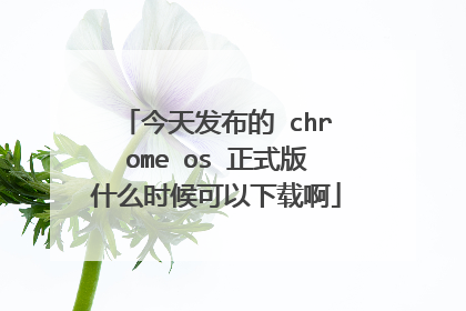 今天发布的 chrome os 正式版什么时候可以下载啊