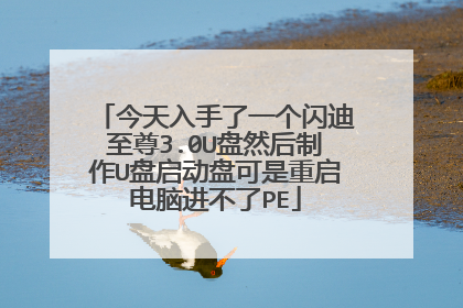 今天入手了一个闪迪至尊3.0U盘然后制作U盘启动盘可是重启电脑进不了PE