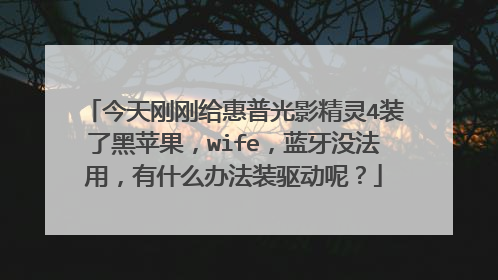今天刚刚给惠普光影精灵4装了黑苹果,wife,蓝牙没法用,有什么办法装驱动呢?