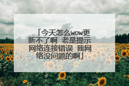 今天怎么wow更新不了啊 老是提示网络连接错误 我网络没问题的啊