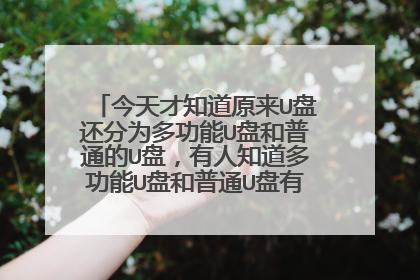 今天才知道原来U盘还分为多功能U盘和普通的U盘,有人知道多功能U盘和普通U盘有啥区别吗?