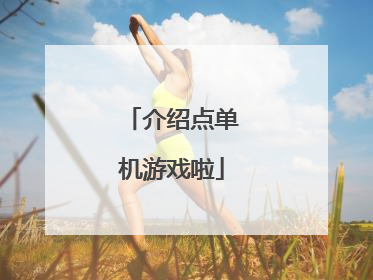 介绍点单机游戏啦