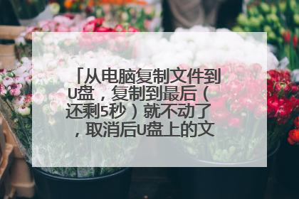 从电脑复制文件到U盘,复制到最后(还剩5秒)就不动了,取消后U盘上的文件正常,如何解决