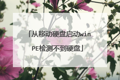 从移动硬盘启动win PE检测不到硬盘