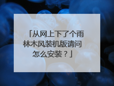 从网上下了个雨林木风装机版请问怎么安装?