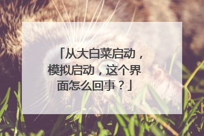 从大白菜启动,模拟启动,这个界面怎么回事?